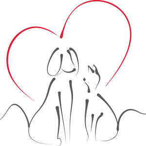 Team Page: BVSPCA Board of Directors Team